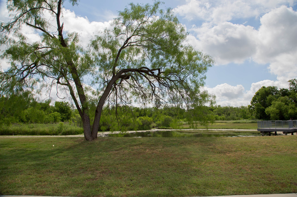 Cravens Park — Pond & Greenspace